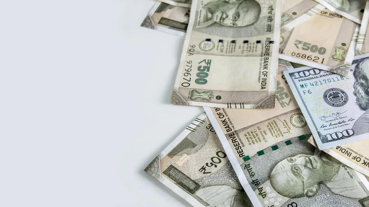 Rupee closes marginally weaker ahead of crucial central bank rate review - BusinessLine