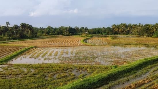 Puravankara secures 15-acre land parcel in Bengaluru for a housing project with ₹2,300 crore revenue potential